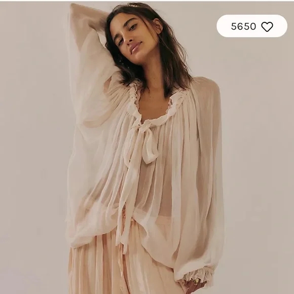 Free People Long Sleeve Sheer Top - Picture 1 of 4